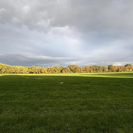 Boshuis Haen Holiday home *