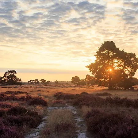 Holiday home Boshuis Haen