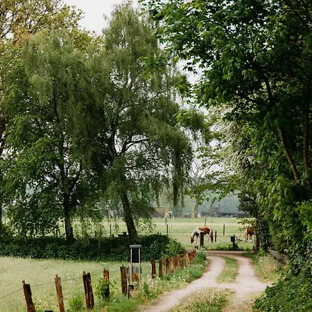 Boshuis Haen Prázdninový dům *