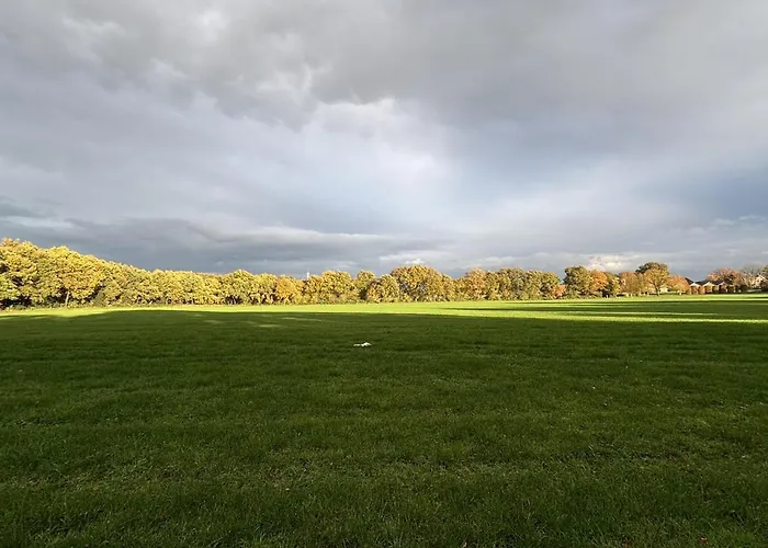 Boshuis Haen Holiday home *