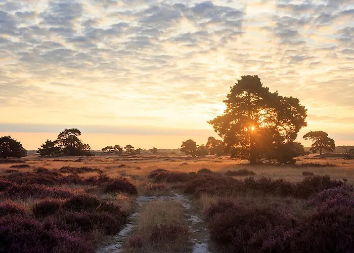 Holiday home Boshuis Haen